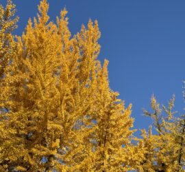 Tagesprogramm: Herbstferien